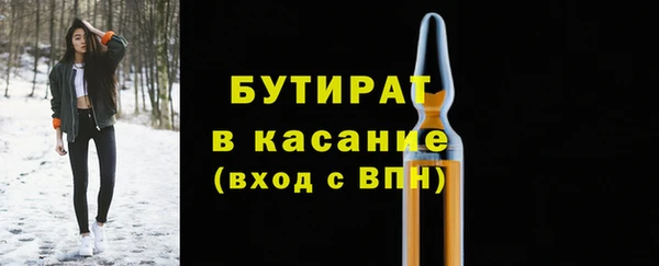 индика Протвино