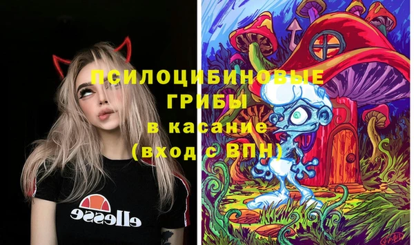 гашик Покровск