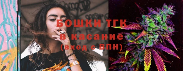 гашик Покровск