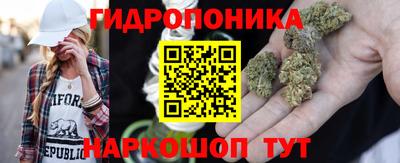 mdma Камышлов