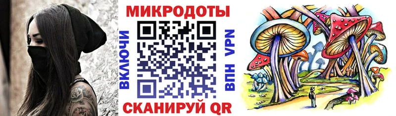 Псилоцибиновые грибы мицелий  Аксай 
